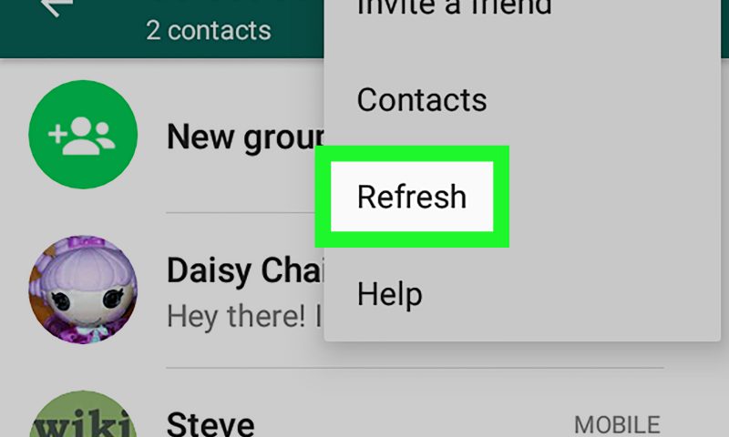 Contacts on WhatsApp
